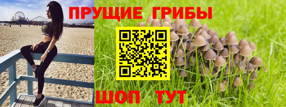 Барабинск  Псилоцибиновые грибы мухоморы  Вход с VPN 